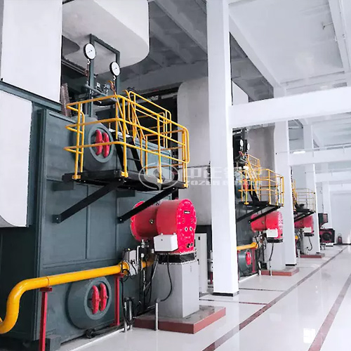  北京豐臺城建物業(yè)角門、望園供熱廠14MW SZS系列冷凝式燃氣熱水鍋爐項目